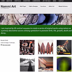 Nammi Art website screenshot